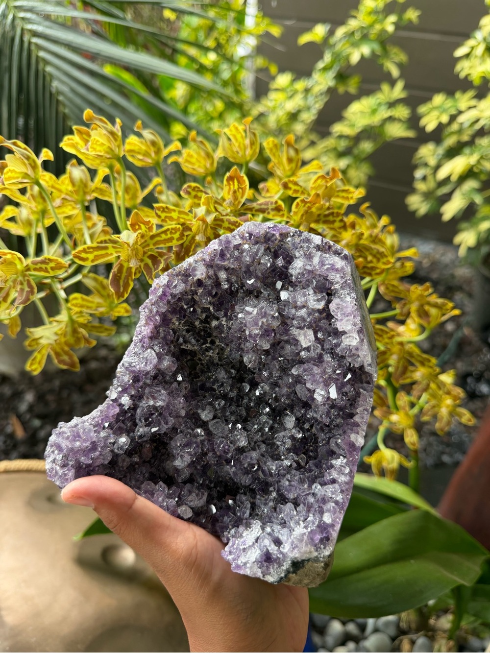 Natural Amethyst Geode Cluster - Deep Purple Crystals